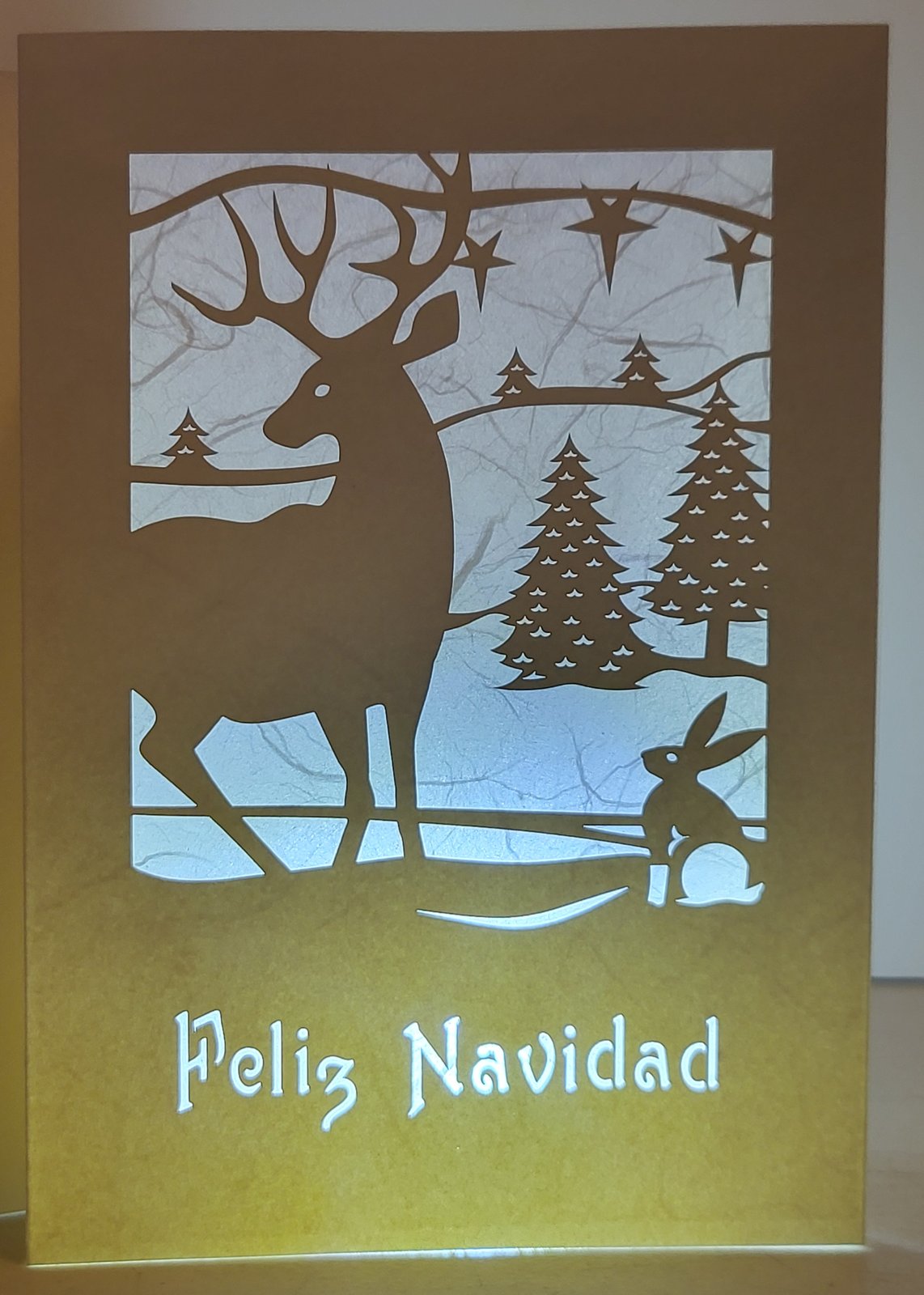 Felice Navidad | JMohr Studio | Albuquerque, NM